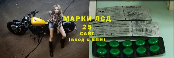 apvp Алзамай