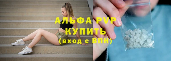 apvp Алзамай