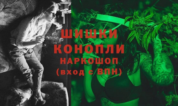 apvp Алзамай