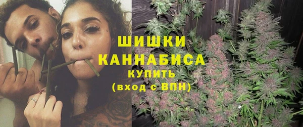 apvp Алзамай