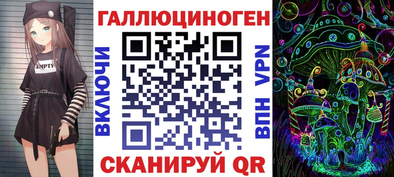 где можно купить   Пудож  Псилоцибиновые грибы Cubensis 