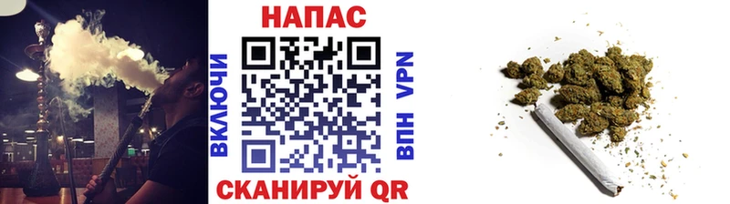 blacksprut как войти  купить   Пудож  Шишки марихуана ГИДРОПОН 